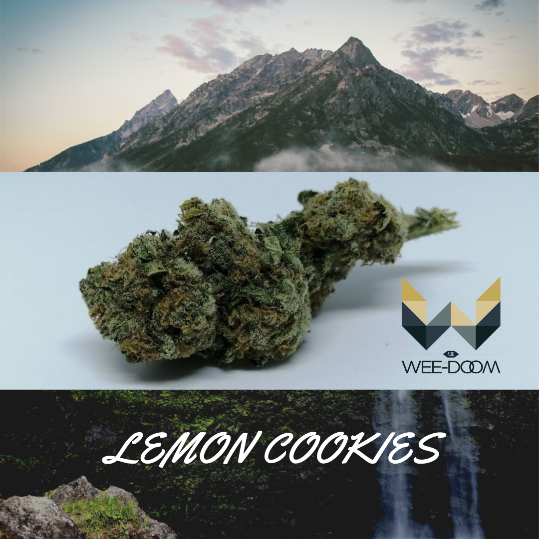 lemon-cookies-weed
