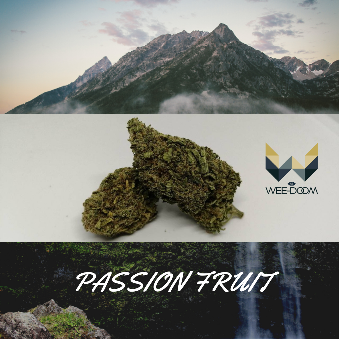 passion-fruit-weed