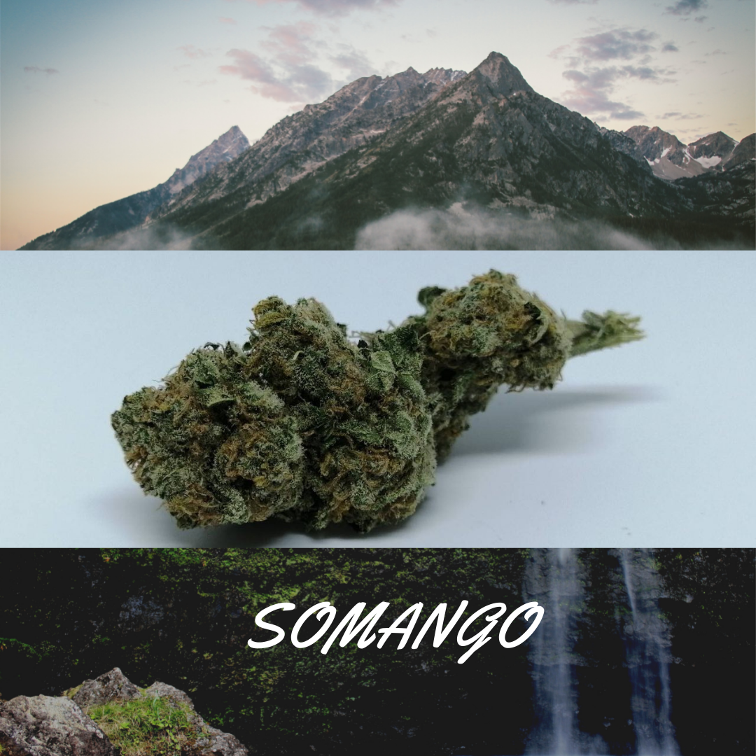 somango-weed